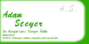 adam steyer business card